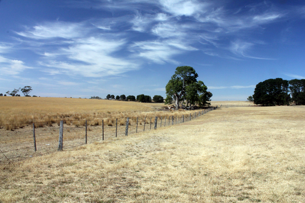 The wide open pastures of Bally Glunin Park are located near Hamilton, Victoria, Australia