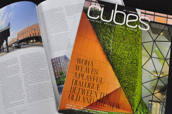 Cubes Indesign – Issue 64 Out Now