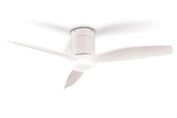Keeping it both Cool and Bright With High Functionality Ceiling Fans from Spin
