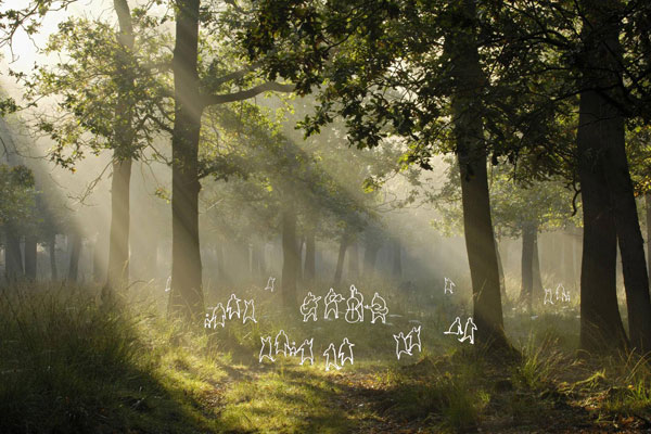 Forest-of-Music_credit_SFA_RENDER_003