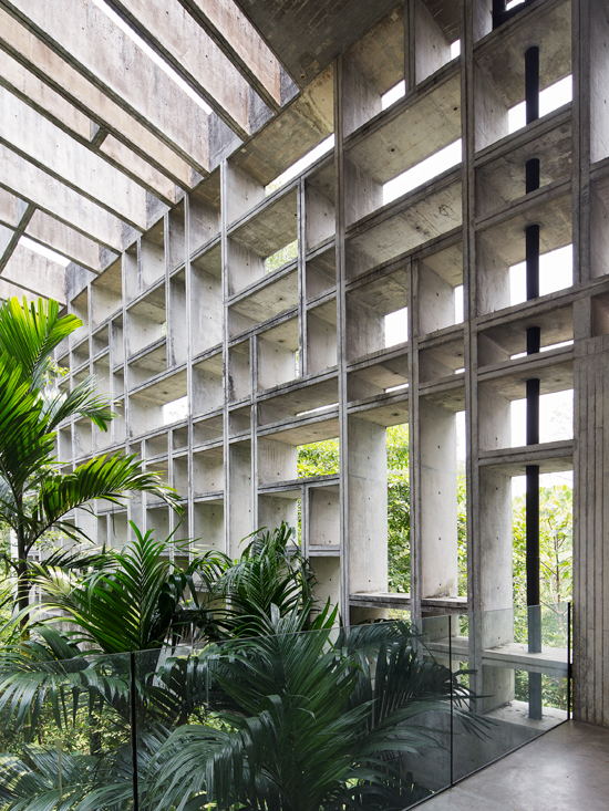 Concrete Dwelling In The Tropics
